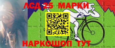 тгк Можга