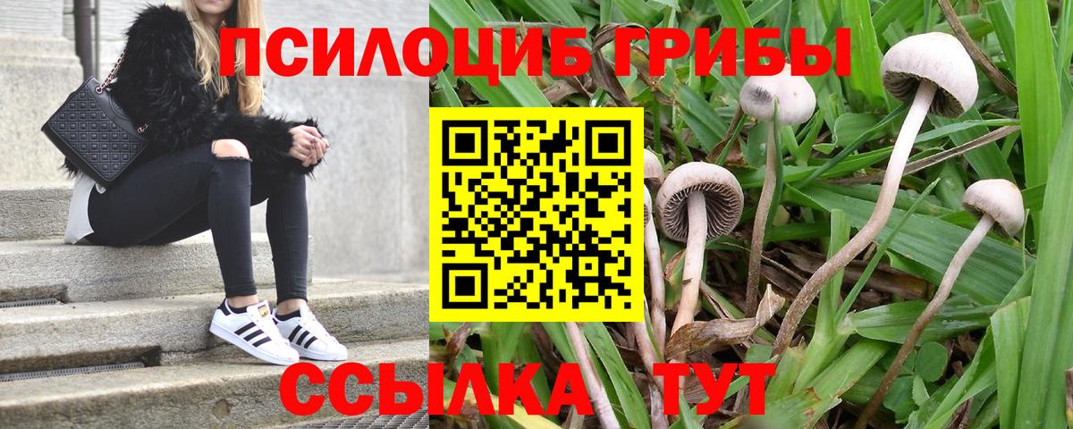 Галлюциногенные грибы мухоморы  купить закладку  Чапаевск  Вход с VPN  Псилоцибиновые грибы мицелий 