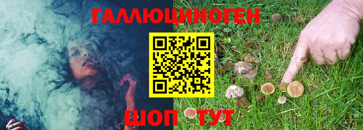 Галлюциногенные грибы Psilocybe Чапаевск